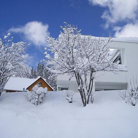 Apartment Willmann By Interhome Eisenbach  Exterior photo
